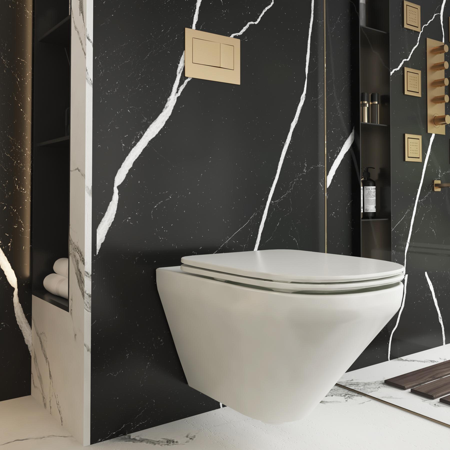 wall-hung toilet section