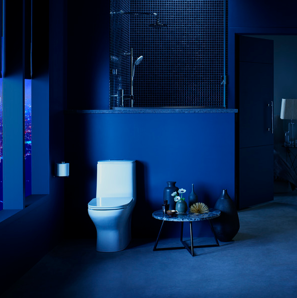 comfort toilet seats