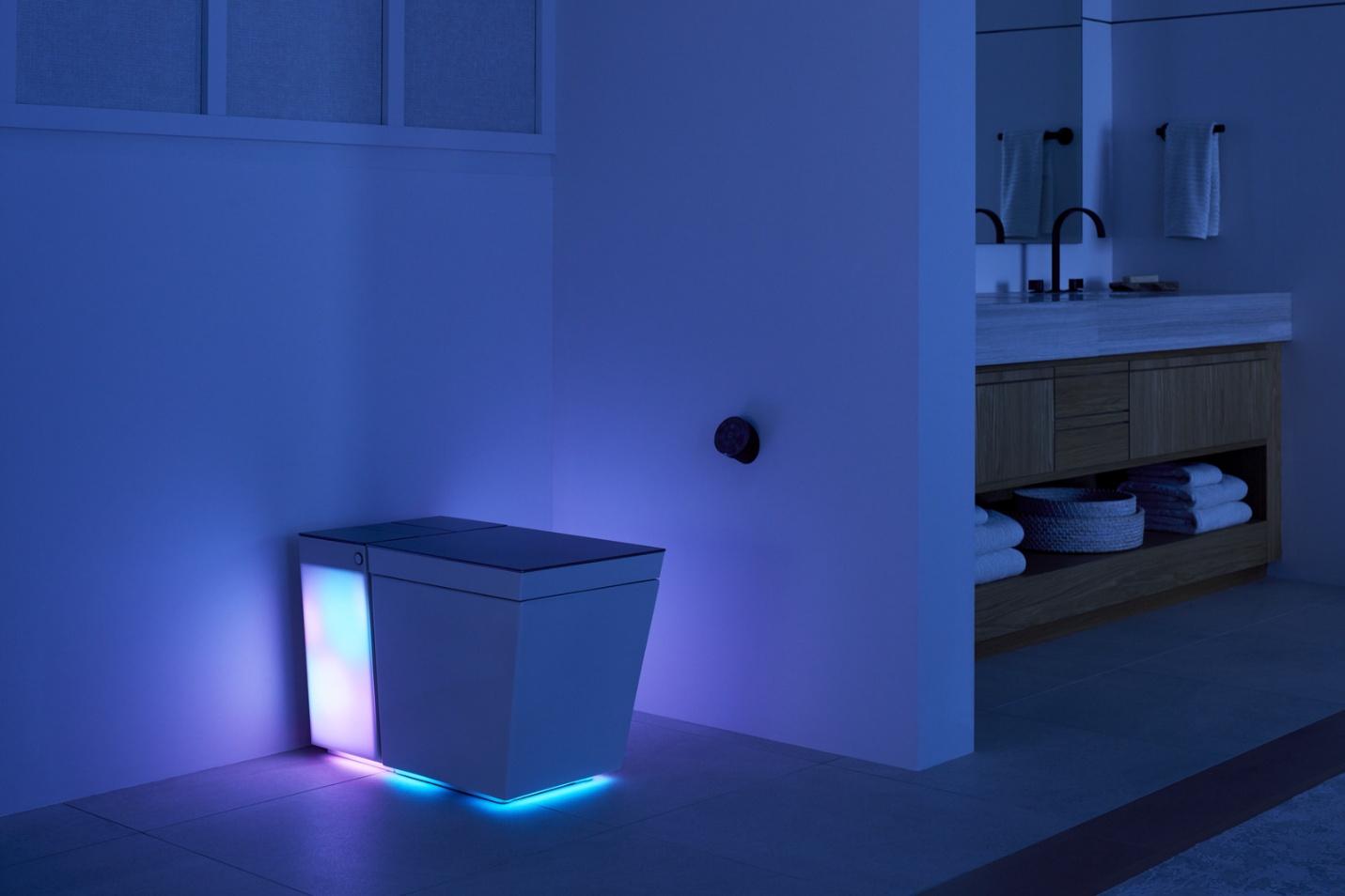 intelligent toilet