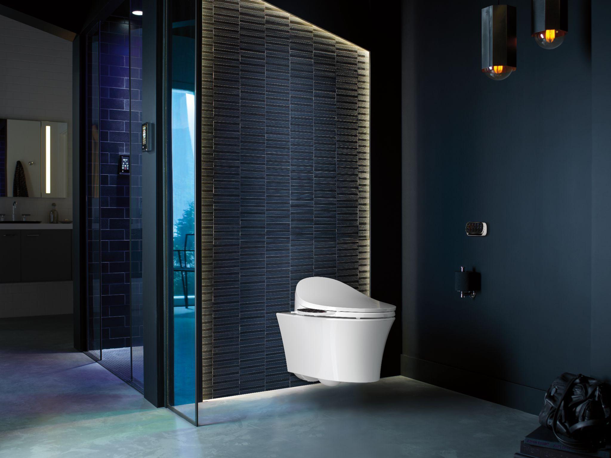 wall-hung toilet design