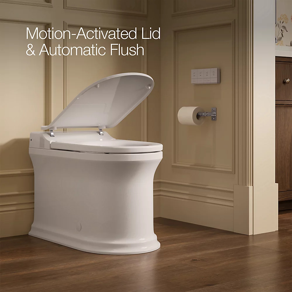 Modern bidet Toilet