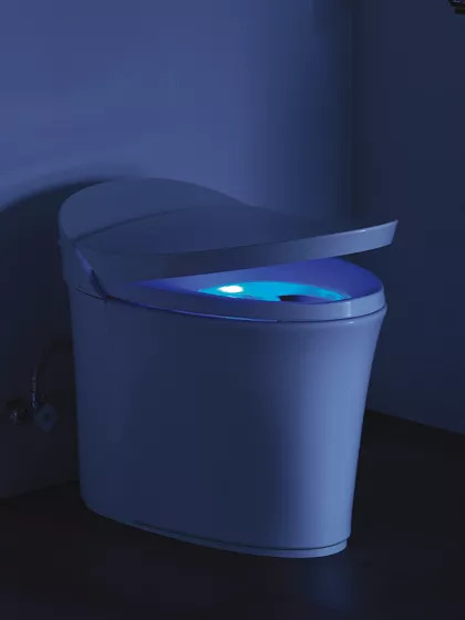 Toilet Seats Design