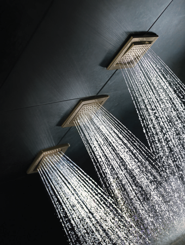 shower head set