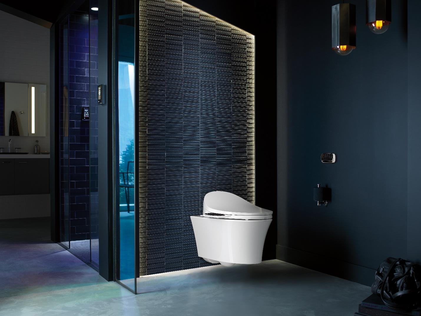 bidet Toilet