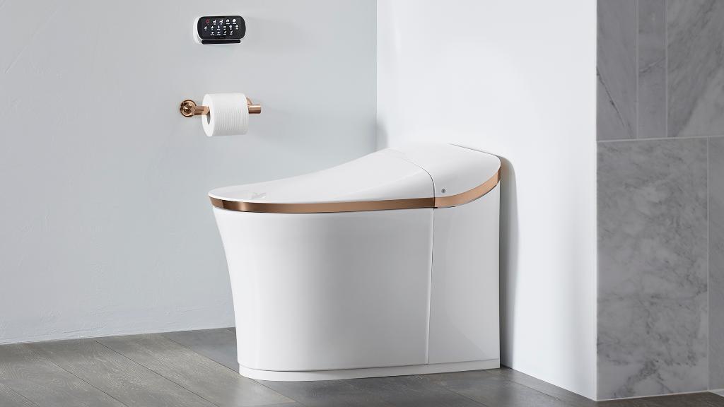 Toilet Seat Compatibility
