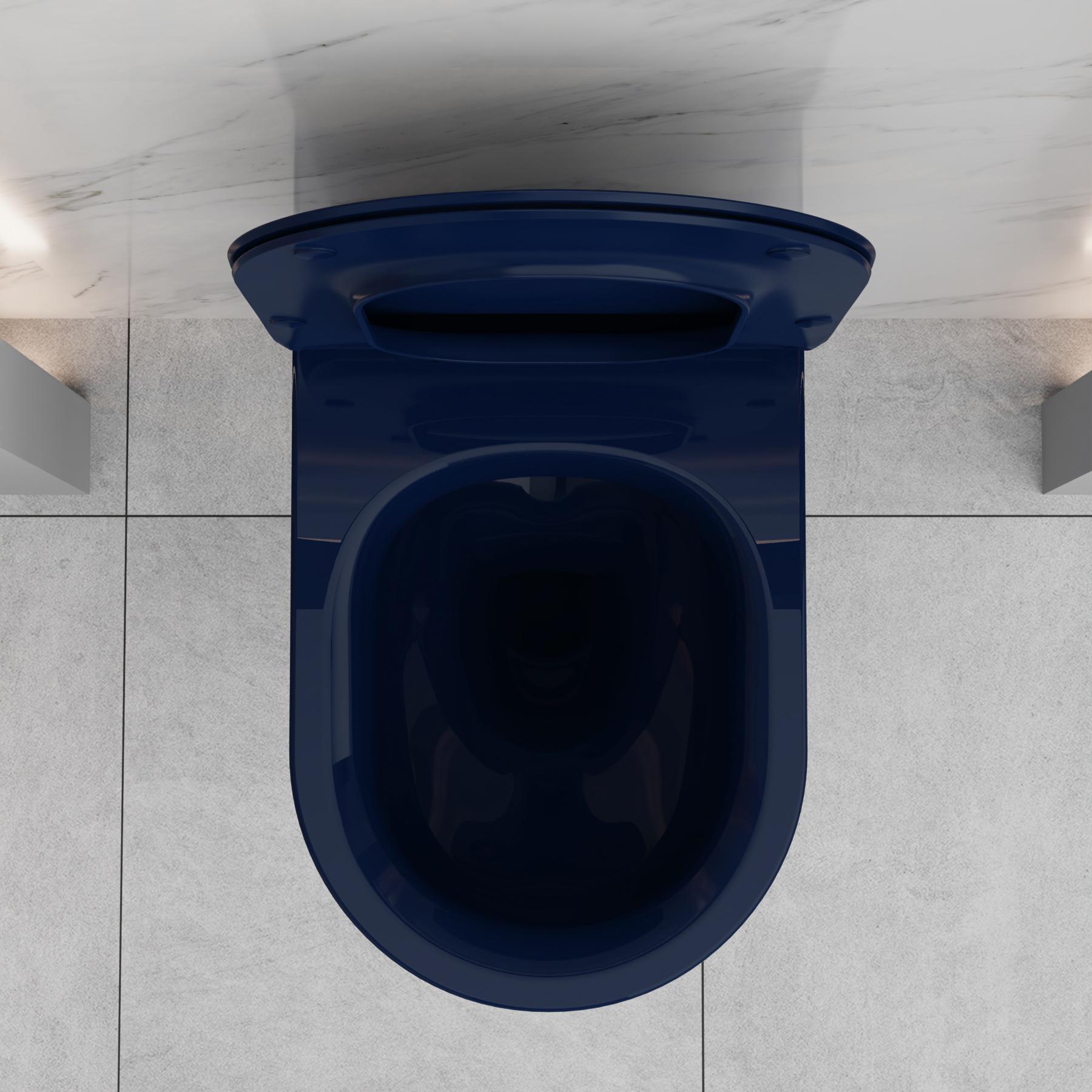 Toilet Seat