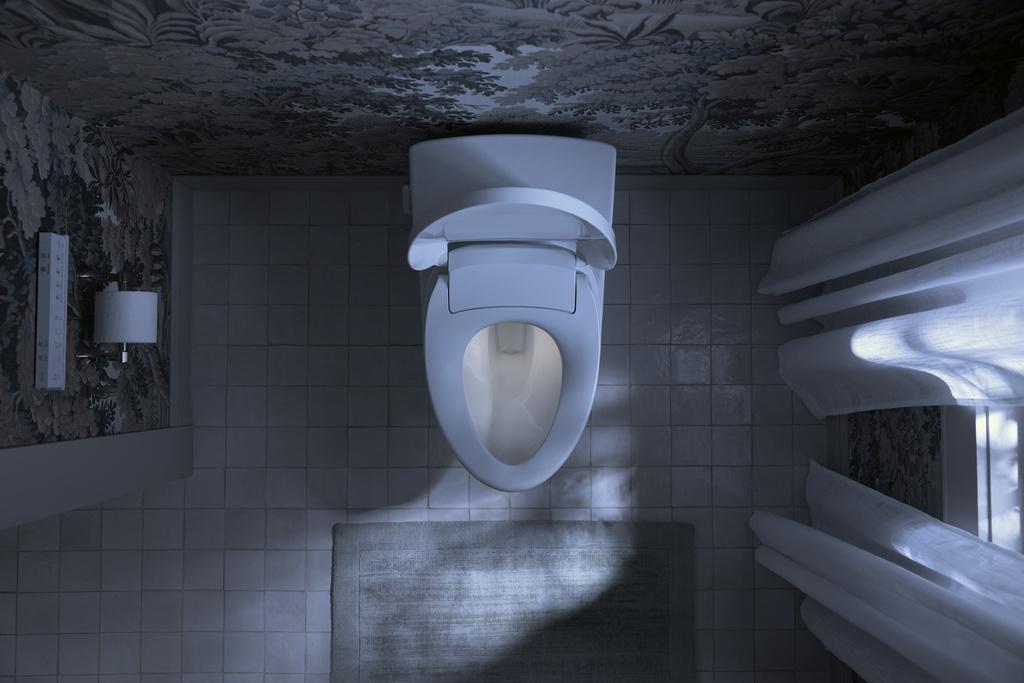 Intelligent Toilets