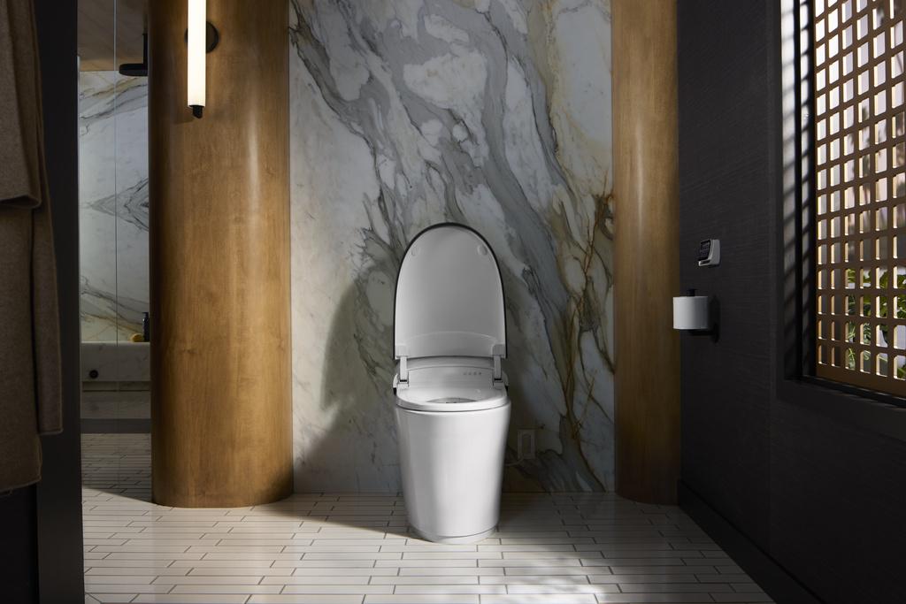 Kohler intelligent toilet price