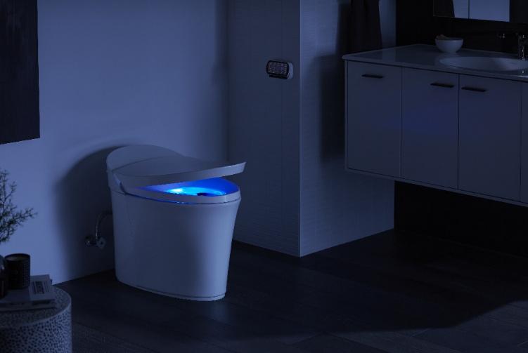 Kohler Intelligent Toilet Price