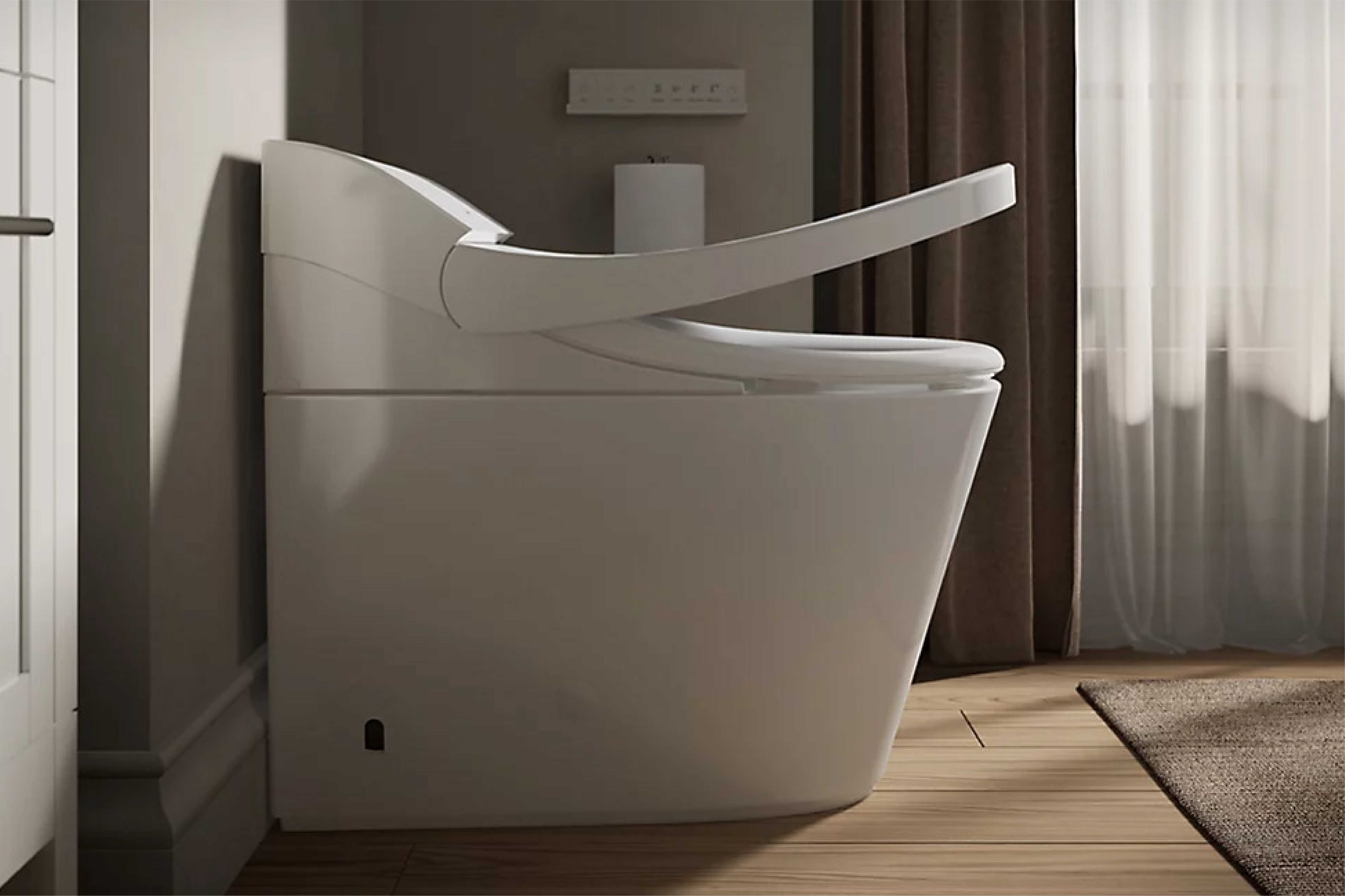 intelligent toilet seat