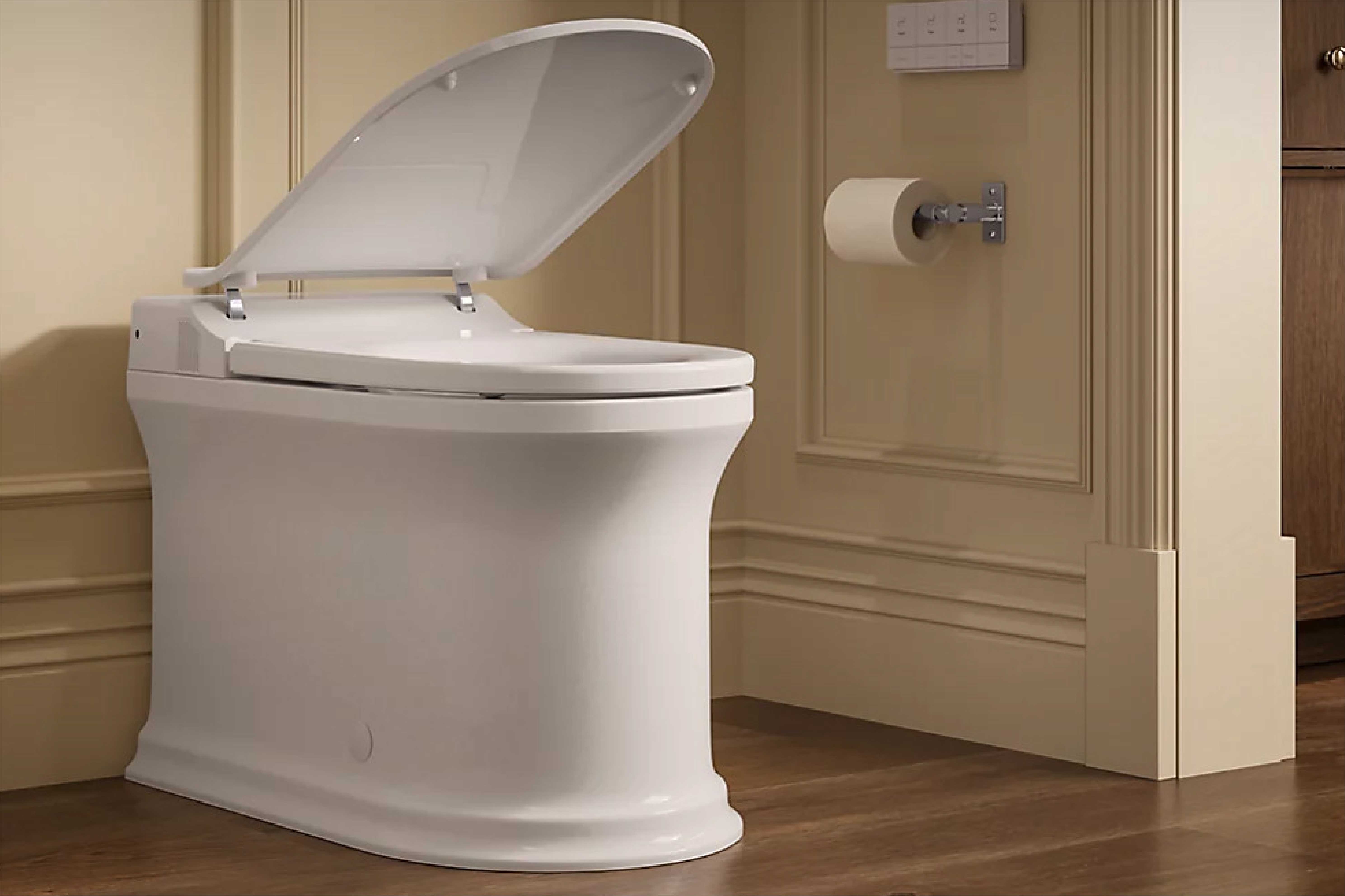 intelligent bidet toilet