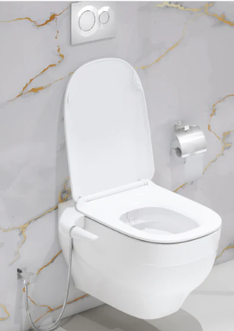 Dual Toilet Seat Design