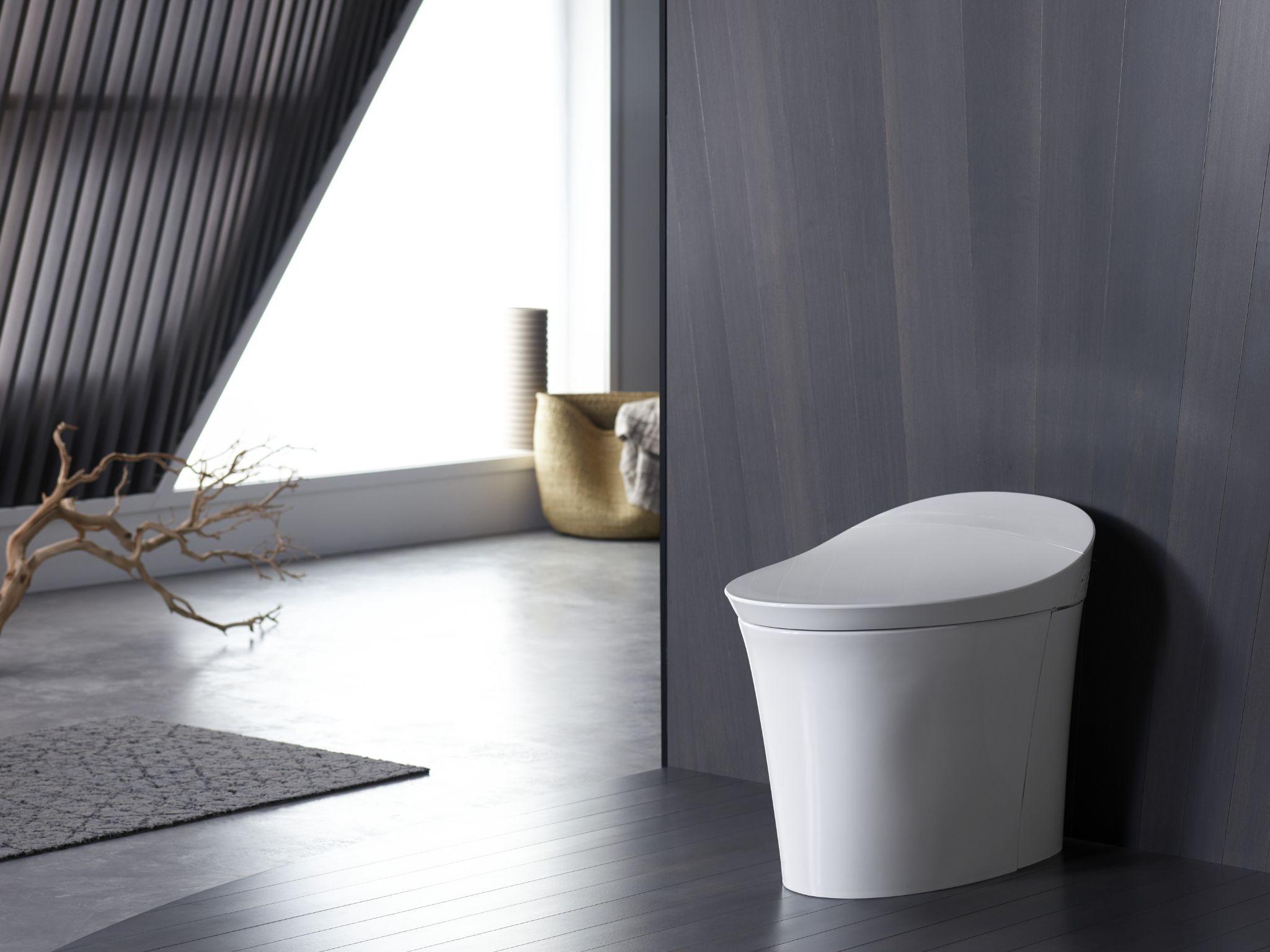 intelligent toilet seat