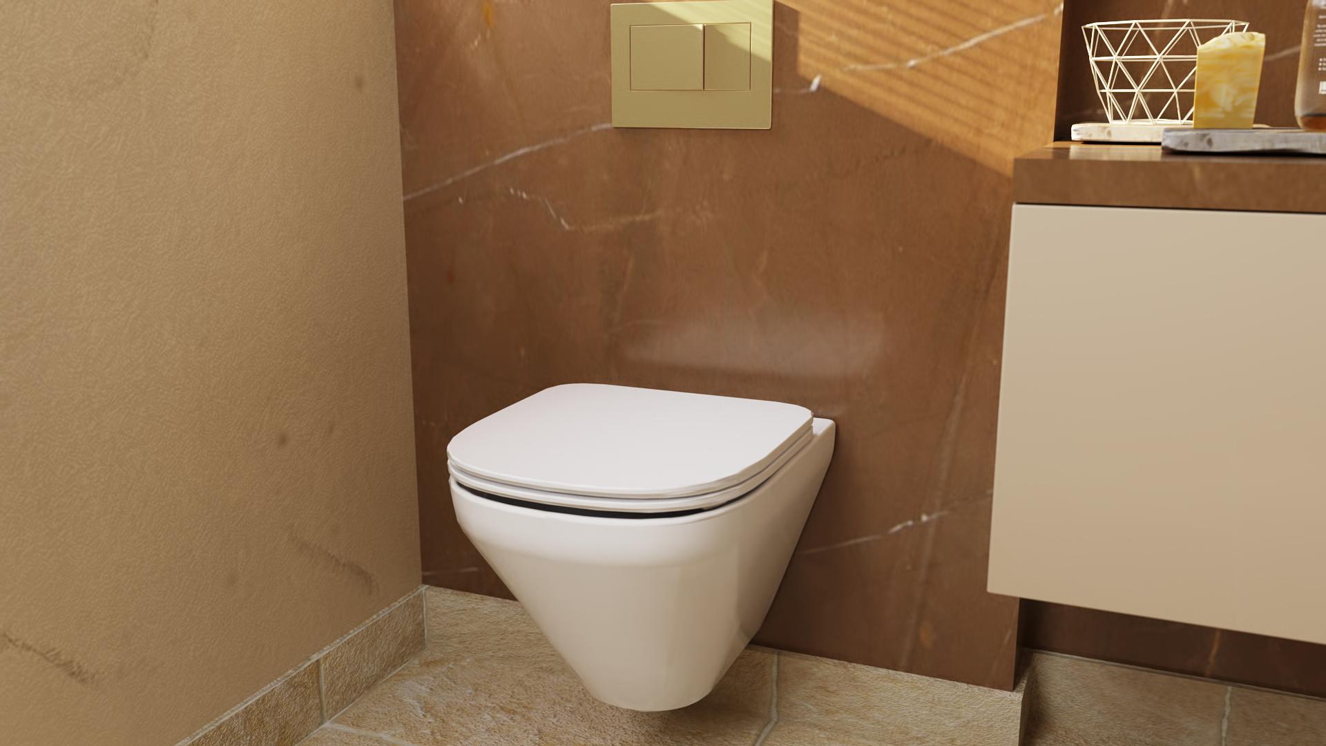 wall-hung toilet