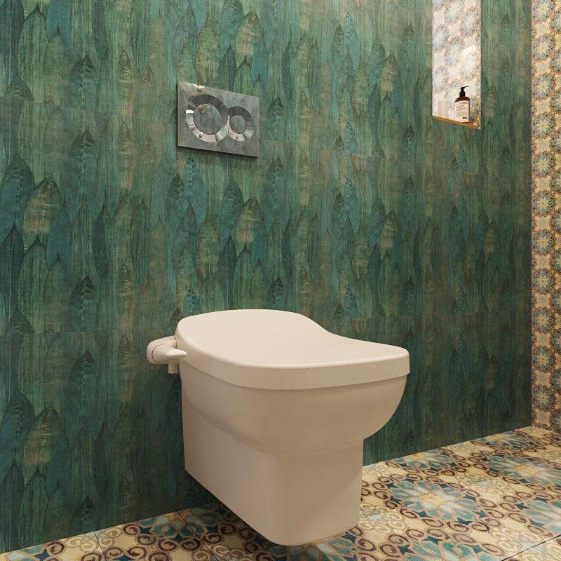 wall-hung toilet