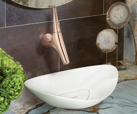 Kohler bowl-shaped sink